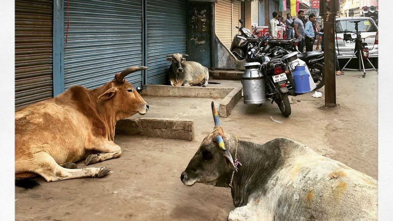 shantaram filming location: Bhopal, India